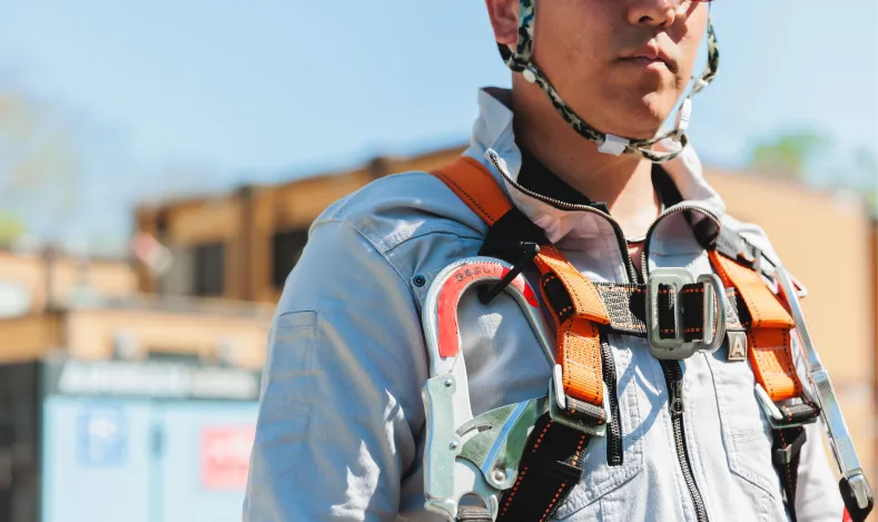 フルハーネスの画像